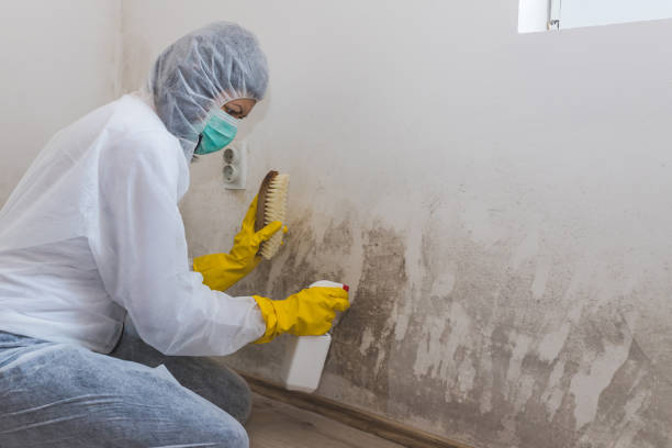 Best Airborne Mold Testing  in Scandia, MN