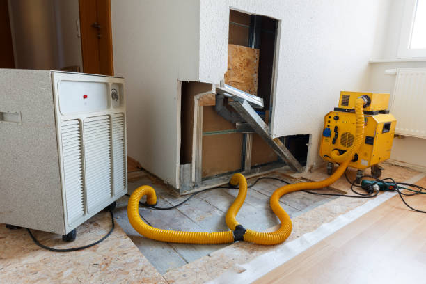 Best Mold Prevention Services  in Scandia, MN