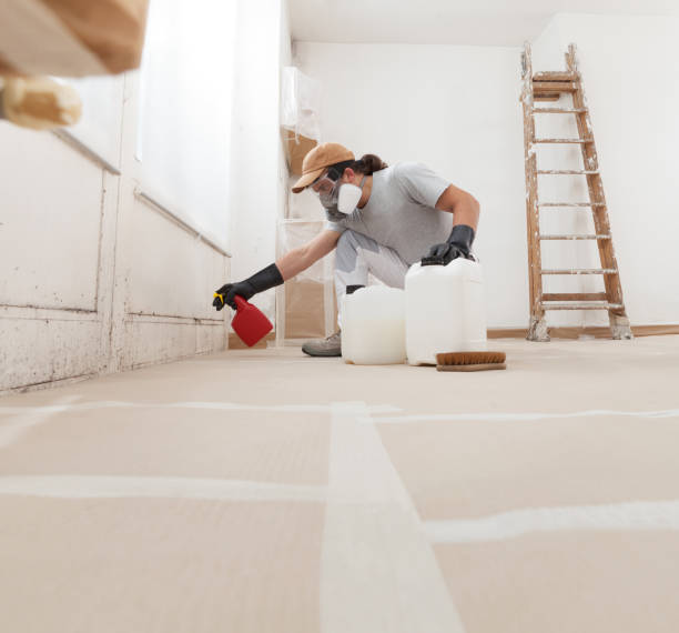 Best Mold Documentation for Insurance Claims  in Scandia, MN