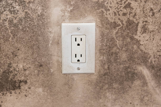 Best Real Estate Mold Inspection  in Scandia, MN